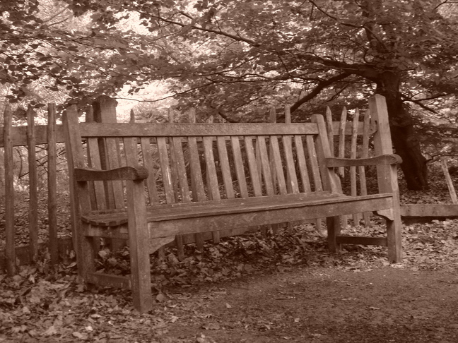 Parkbench